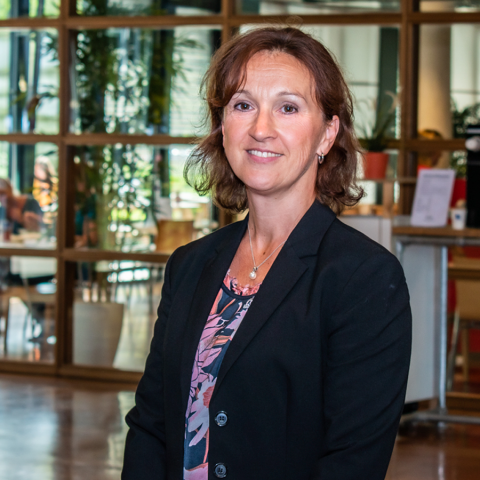 Linda _ Office Hotel